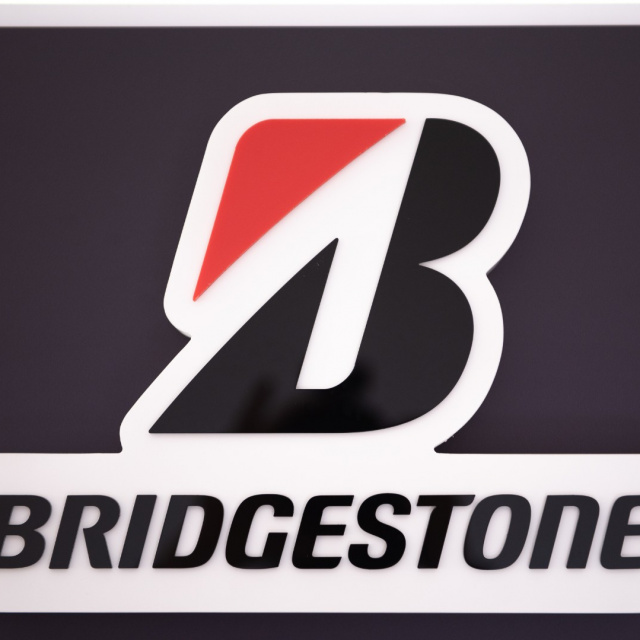Стойки Bridgestone